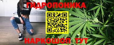 трава Заволжье