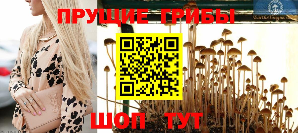 Мефедрон Кизляр
