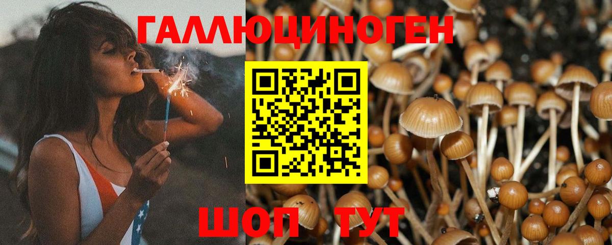 Кизляр  Псилоцибиновые грибы ЛСД  Галлюциногенные грибы GOLDEN TEACHER  Вход с VPN 